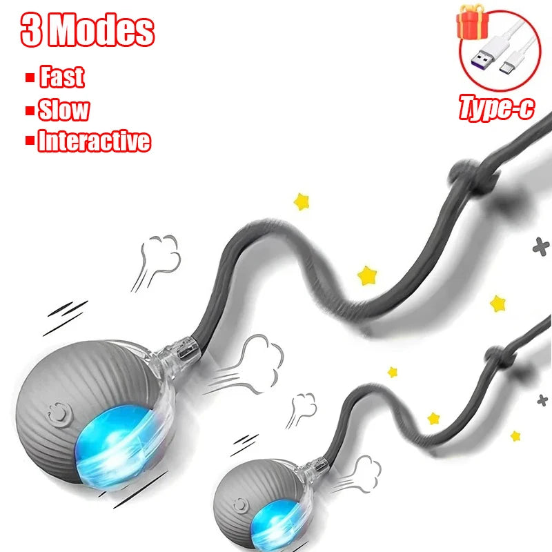 Smart Interactive Pet Ball - Rechargeable & Fun