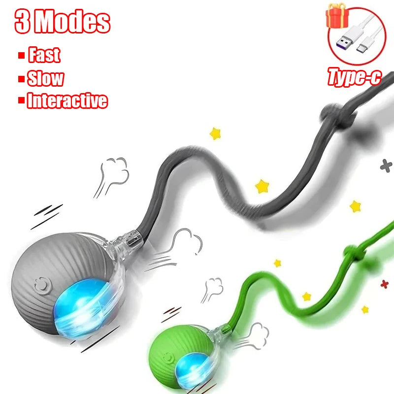 Smart Interactive Pet Ball - Rechargeable & Fun