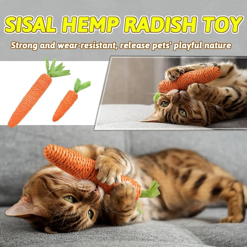 Irresistible Carrot Cat Teething & Play Sticks