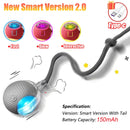 Smart Interactive Pet Ball - Rechargeable & Fun