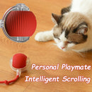 Smart Interactive Pet Ball - Rechargeable & Fun