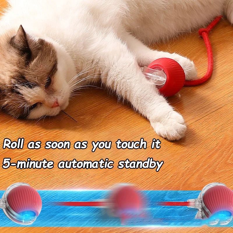 Smart Interactive Pet Ball - Rechargeable & Fun